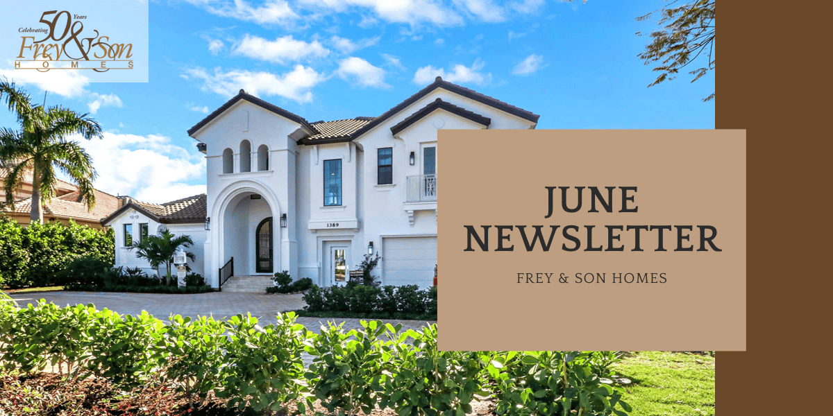 Newsletter Header