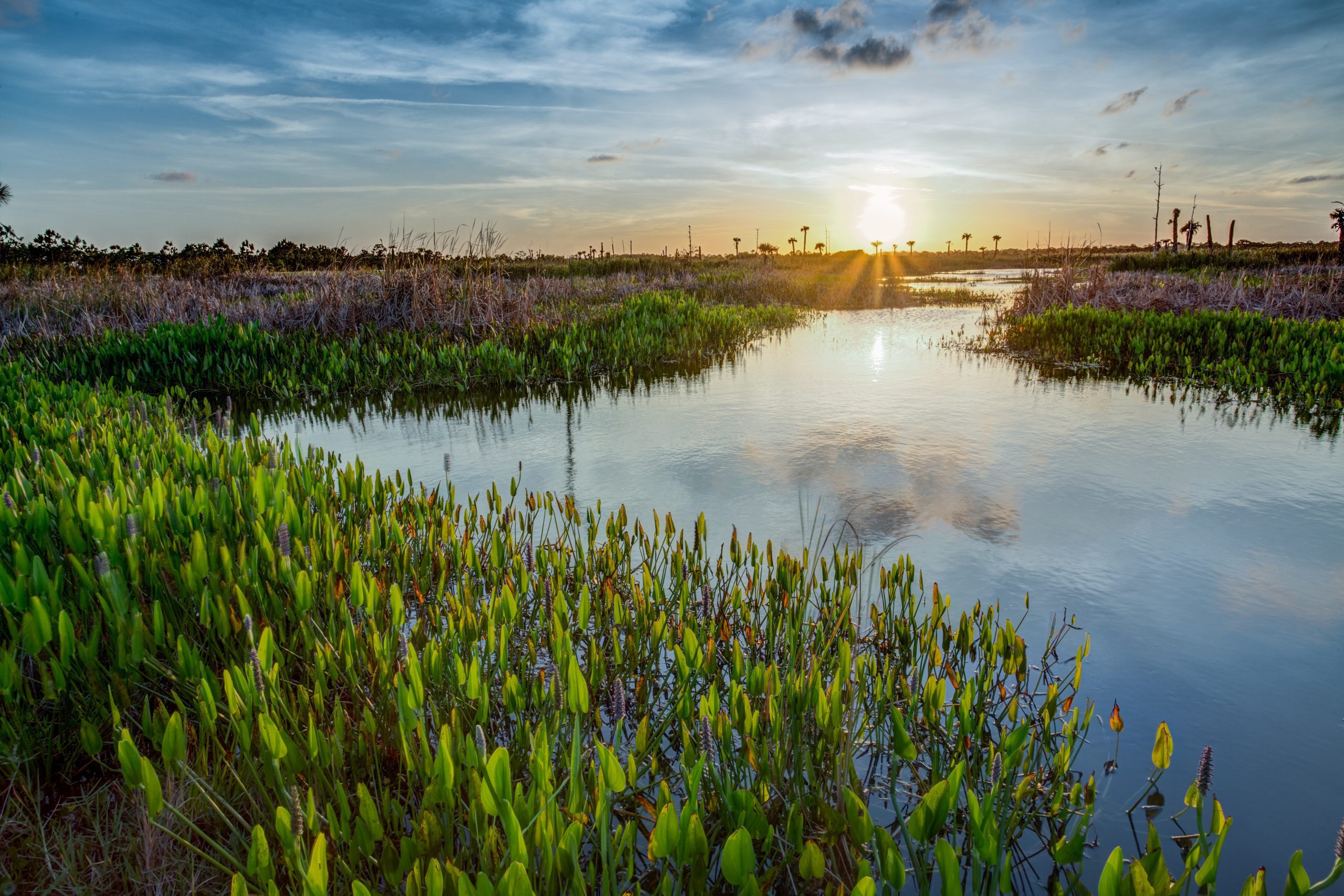 Extra Land in SWFL