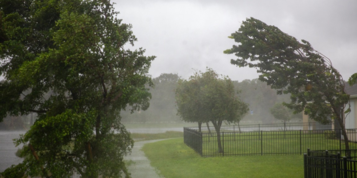 Hurricane resistant building image